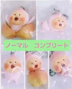 こびとづかん　カクレモモジリコレクション　ノーマルのみ　セミコンプリート — image 1