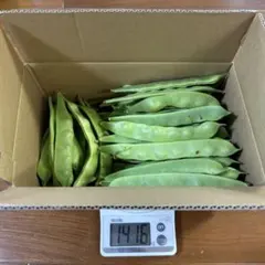 モロッコインゲン 約1.4kg — image 1