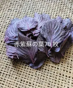 大吉様専用 — image 1