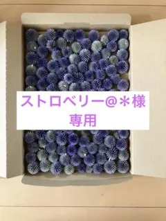 ストロベリー@＊様専用ページ　ヘッドのみ — image 1