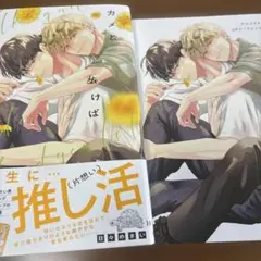 カメと歩けば恋に当たる 日々めまい　特典つき — image 1