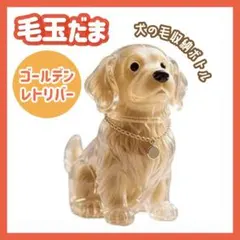 けだまだま ゴールデンレトリバー メモリアル 毛 チャーム 毛収納 キーホルダー — image 1