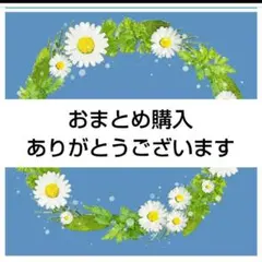 TKM@0220様 リクエスト 2点 まとめ商品 — image 1