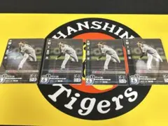 ドリームオーダー富田4枚セット — image 1