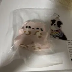 スクイーズ　どんどん — image 1