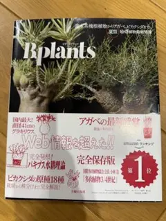 Bplants ビザールプランツ 夏型 珍奇植物最新情報 — image 1