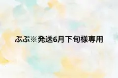 ぷぷ※発送6月下旬様専用 — image 1