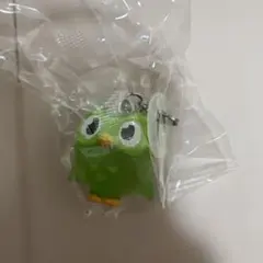 Duolingo めじるしアクセサリー　ガチャ — image 1