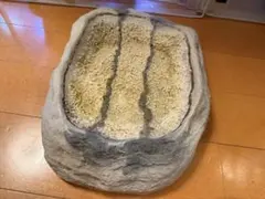 爬虫類用 水入れ 浅め — image 1