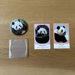 熊猫シャンシャン　購入特典　ミラー — image 1