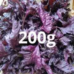 赤しそ　赤紫蘇　200g. 206 — image 1