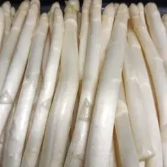 ホワイトアスパラガスB級品【700g】 露地栽培 — image 1