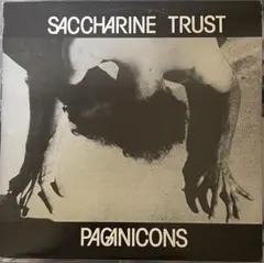 Saccharine Trust PAGANICONS LP 激レア盤 美品 — image 1