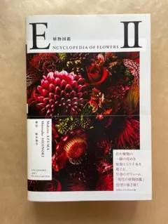 植物図鑑 ENCYCLOPEDIA OF FLOWERS 2 東信　椎木俊介 — image 1