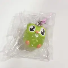 Duolingo/デュオリンゴ めじるしアクセサリー — image 1