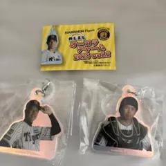 阪神タイガース めじるしオーロラチャーム 才木浩人 梅野隆太郎 — image 1