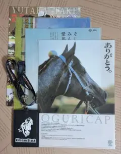 【 非売品 】JRAグッズ — image 1