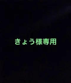 きょう様専用 — image 1