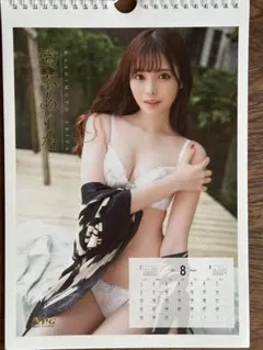 N.P.G GREAT ECSTASY CALENDAR カレンダー 3点 — image 1
