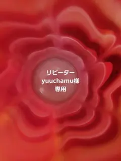 yuuchamu様専用 — image 1