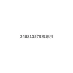 246813579様専用 — image 1