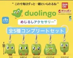 duolingo めじるしアクセサリー 全5種コンプリートセット　ガチャ — image 1