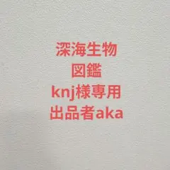 深海生物図鑑 knj様専用 — image 1