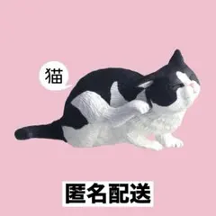 スタンドストーンズ　灰色メロン　カイカイ　猫　白黒（ハチワレ） — image 1