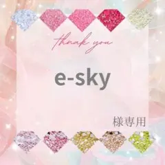 【レターパックライト】e-sky様 — image 1
