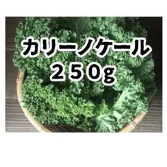 【愛知県産】新カリーノケール 250g — image 1