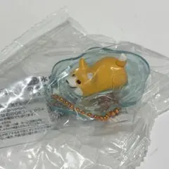 ガチャガチャ 水中のぞき見マスコット コーギー — image 1