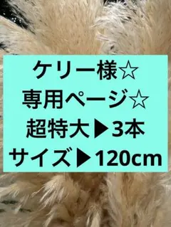 ☆ケリー様専用ページ☆ — image 1