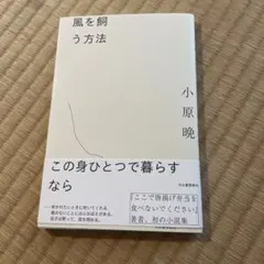 風を飼う方法 — image 1