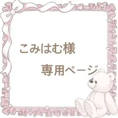 こみはむ様　専用フォーム — image 1