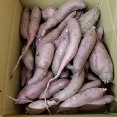 y様専用 サツマイモ — image 1