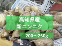 高知県産　新ニンニク　バラ売り　200g〜250g — image 1