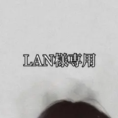LAN様専用 — image 1