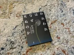 yorichan様 — image 1