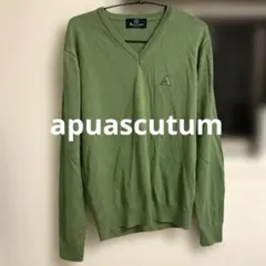 Aquascutum London Vネックニット グリーン — image 1