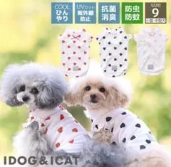 新品未使用♡IDOG — image 1