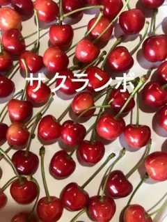 サクランボ — image 1