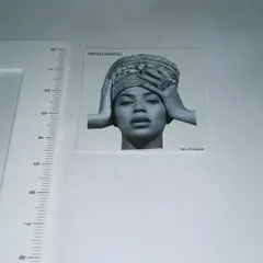 Beyoncé HOMECOMING ステッカー — image 1