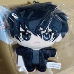 ニトロキラル　スロウダメージ　キラメモ　ぬいパル　ぬいぐるみマスコット　藤枝 — image 1