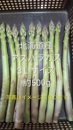 北海道産アスパラガス3L約500g — image 1