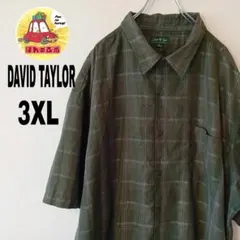 USA古着 DavidTaylor 半袖ボタンシャツ　3XLモスグリーンホワイト — image 1