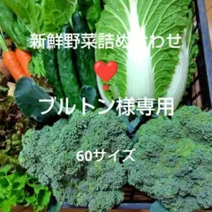 【ブルトン様専用】新鮮野菜詰め合わせ　６０サイズ — image 1
