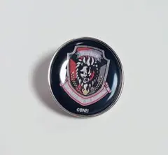 ACE COMBAT　エースコンバット　ドームピンバッジ　スカーフェイス — image 1