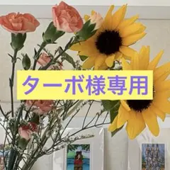 ターボ様専用 — image 1