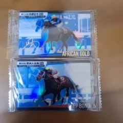 サラブレッドコレクション第4R アフリカンゴールド&ディープポンド — image 1