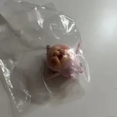 こびとづかん カクレモモジリコレクション — image 1